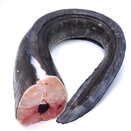 Congrio al corte (Kg)